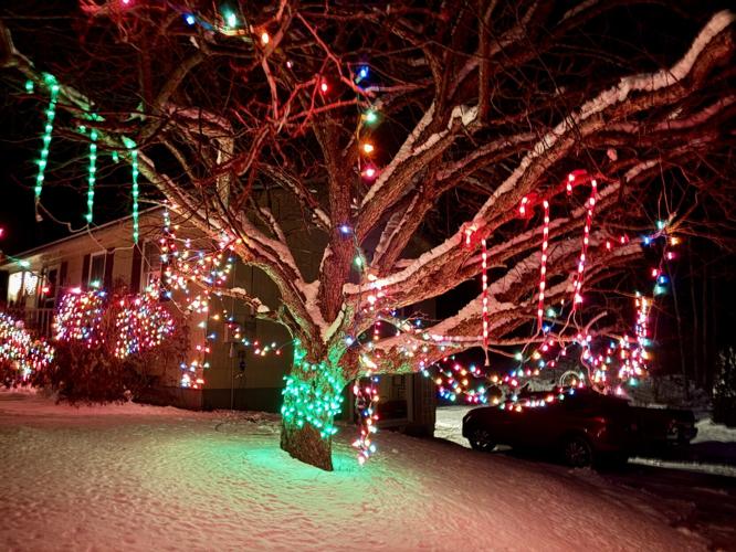 Reader Pics: Dec. 29