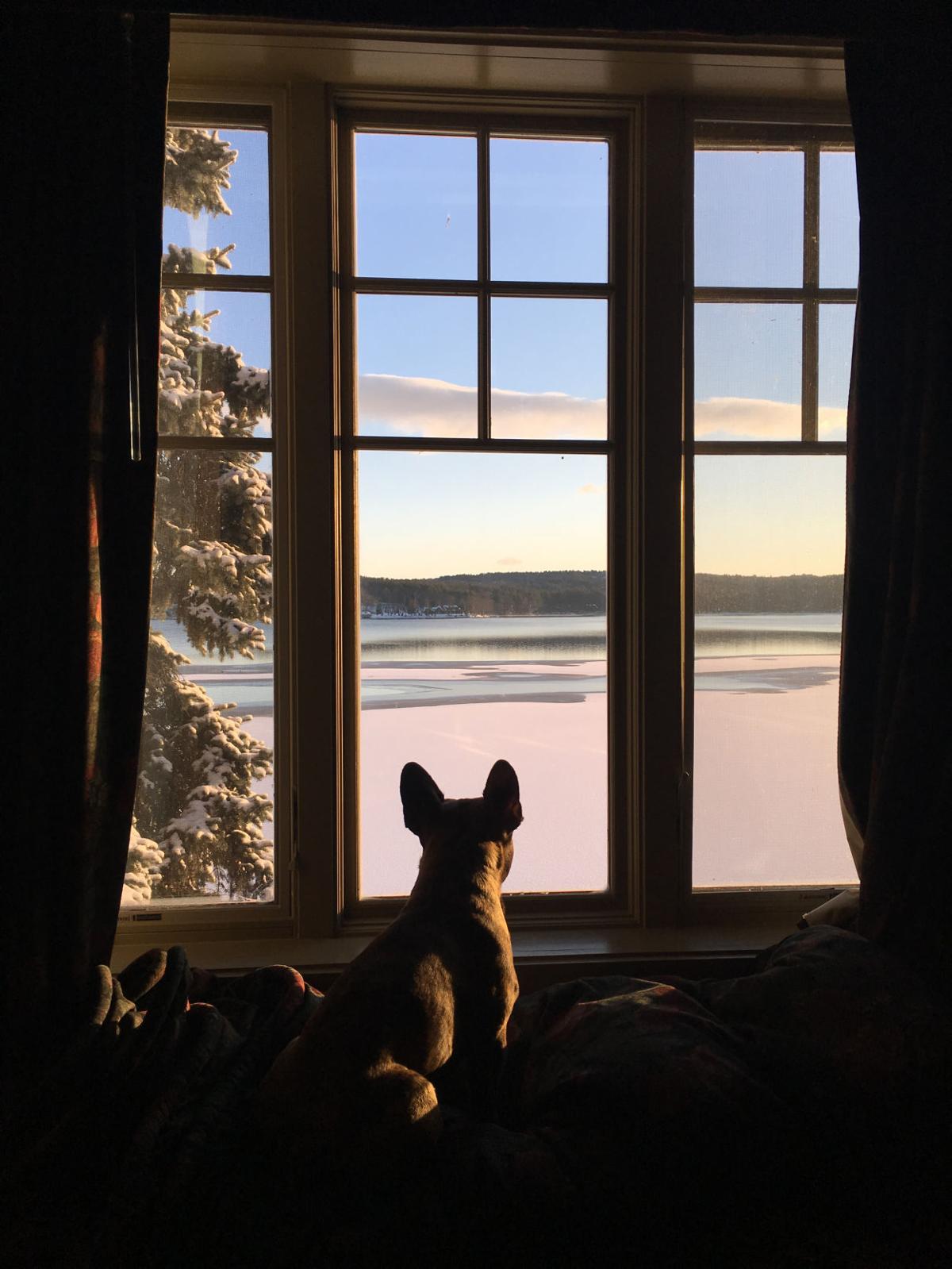 Reader Pics: Jan. 2
