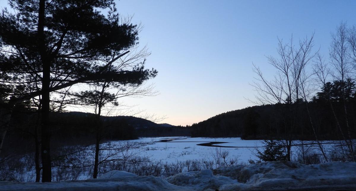 Reader Pics: March 23