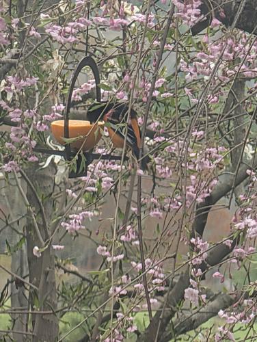 Reader Pics: May 24