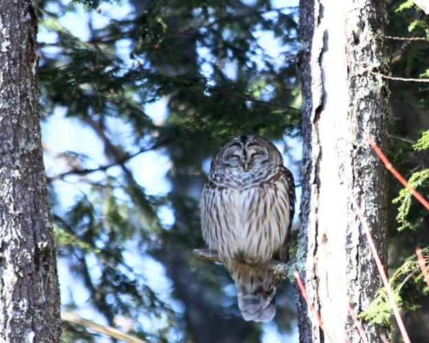 Reader Pics: April 17