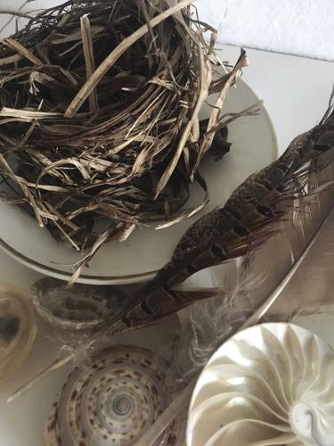 04-23 LS howard 1.jpg