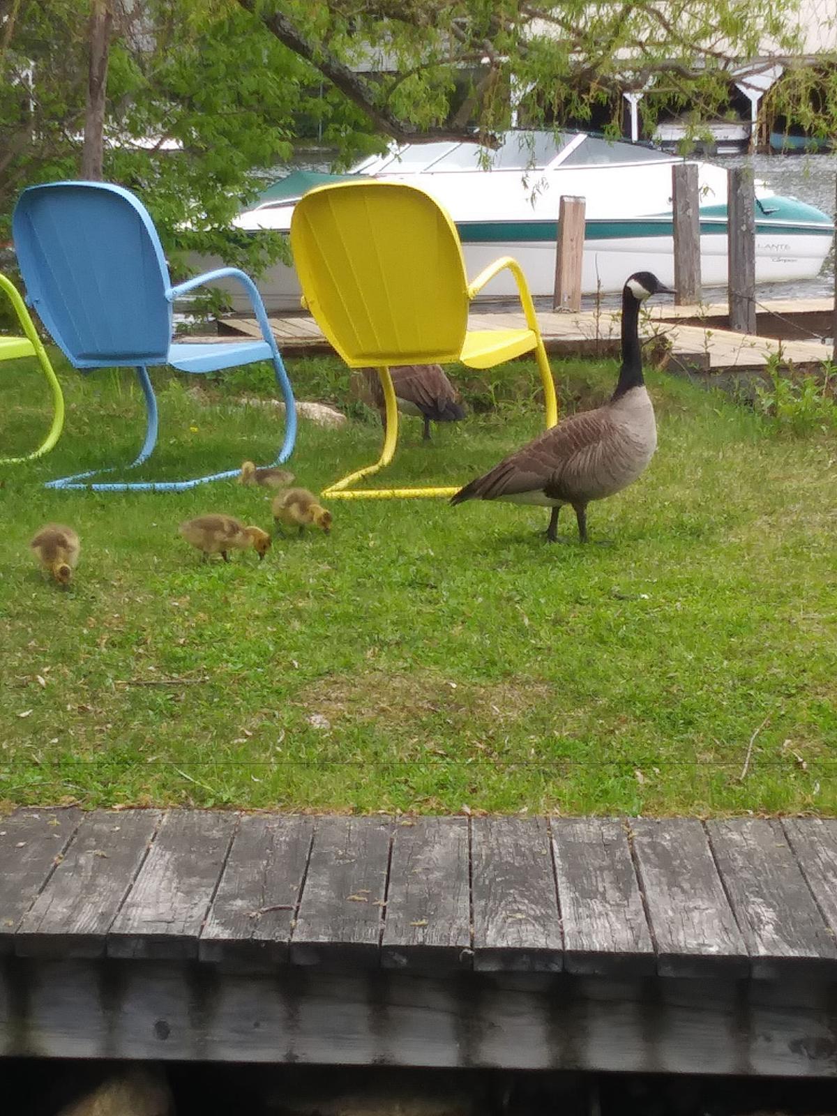 Reader Pics: May 26