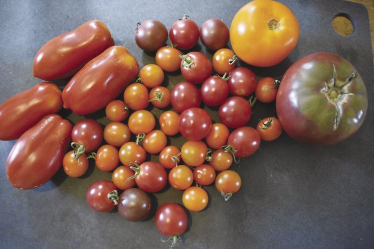 08-13 Foodie Tomatoes.jpg