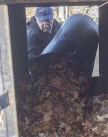 Clearing leaves — not snow — in January