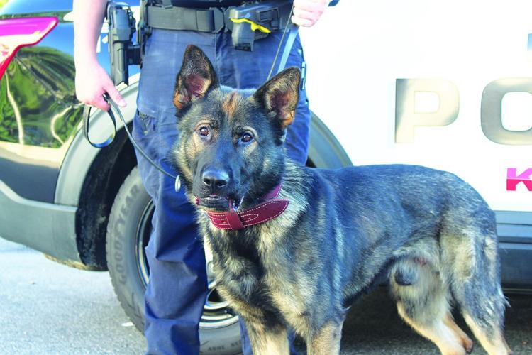 K9 Marek