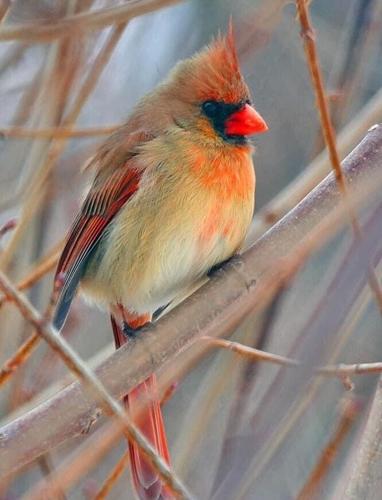 Reader Pics: April 2