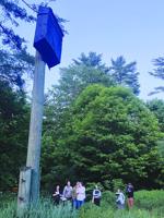 Record bat count at Squam Lakes Natural Science Center