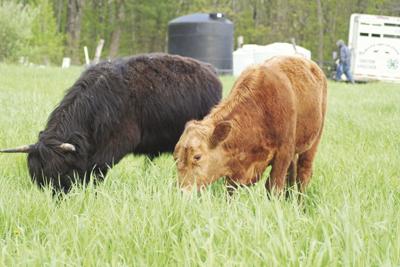 05-24 outdoor Tanks11_InPixio.jpg