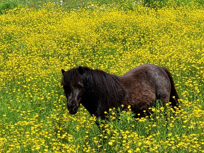 Reader Pics: June 26