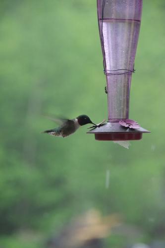 Reader Pics: June 10