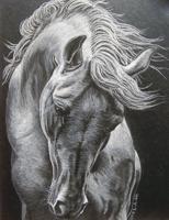 Winners of Lakes Region Art Association annual show on display