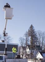 View from the bucket