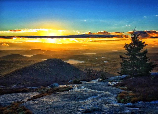 Reader Pics: Jan. 11
