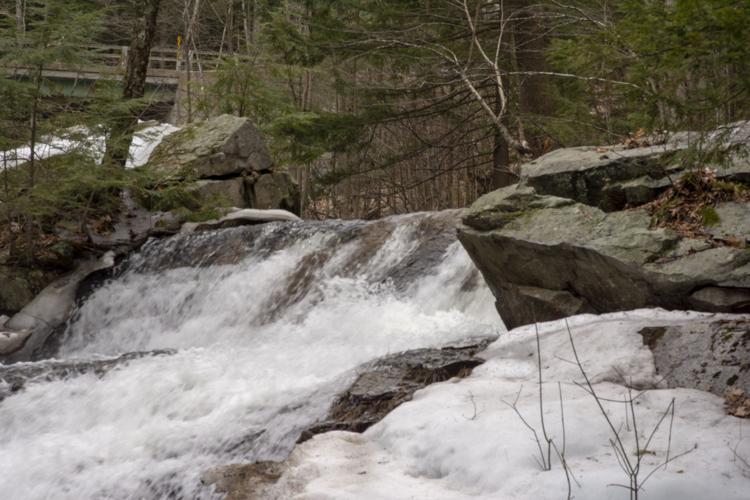 Reader Pics: April 15