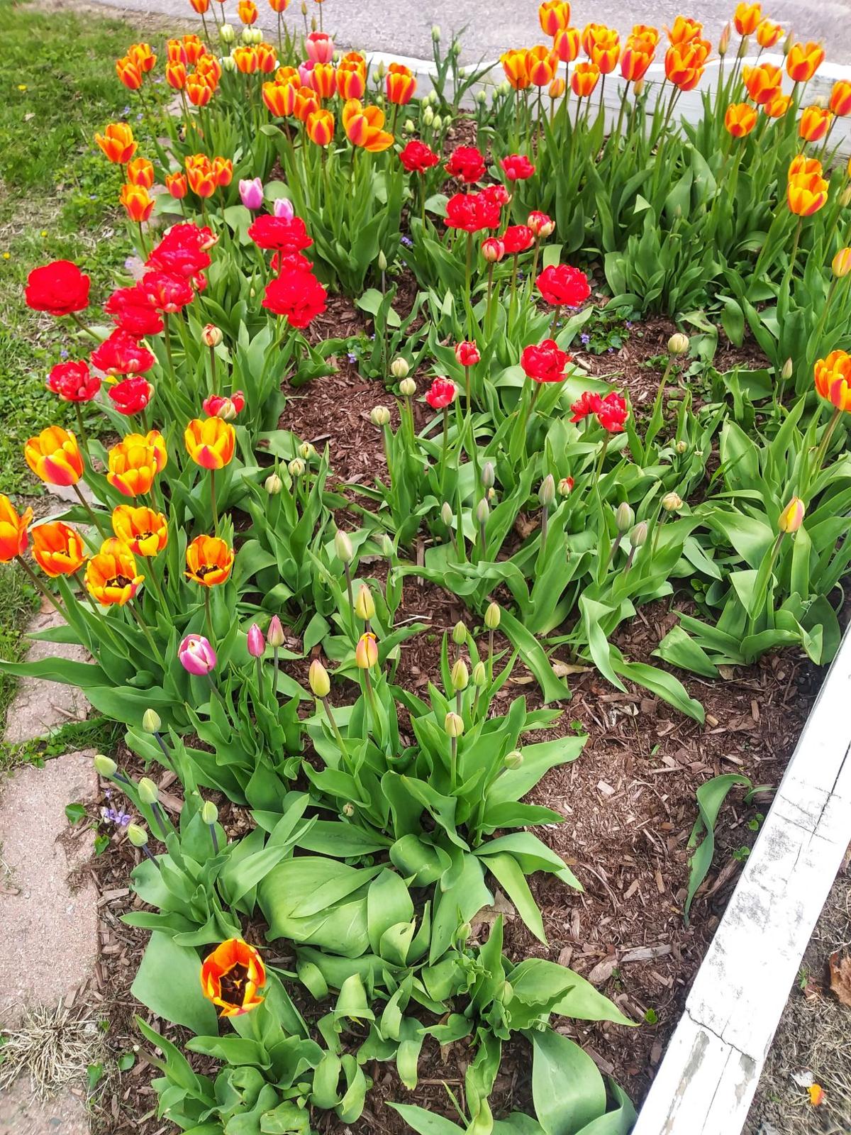 Reader Pics: May 16
