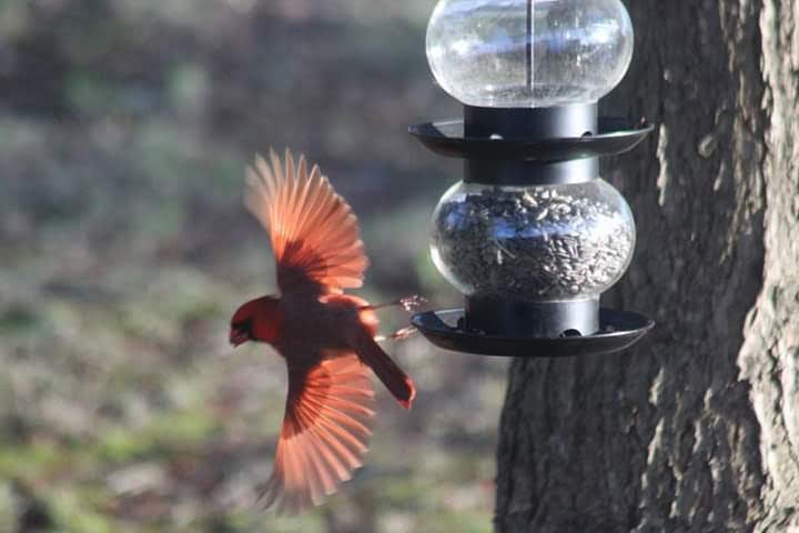 Reader Pics: June 5
