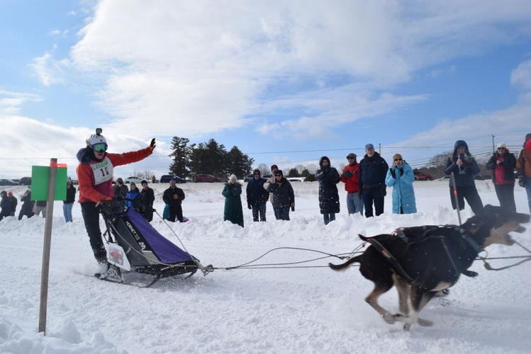 Alexandra Therrien wave