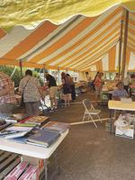 Book Sale July 9, 10 in Moultonborough