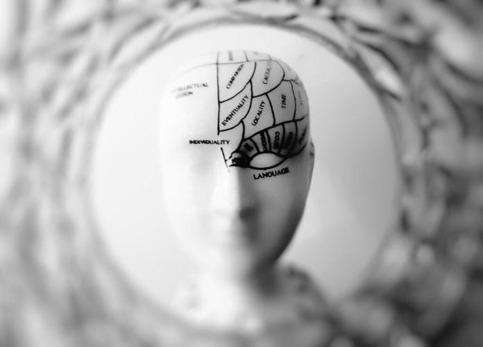 Scientists discover brain is actually two separate organs