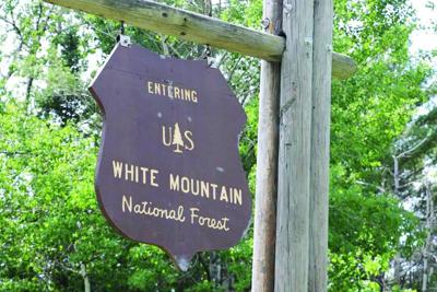 White Mountain National Forest