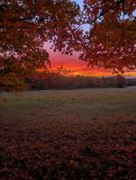 READER pics, reader-submitted shots of people, places, events, and scenery from around the Lakes Region