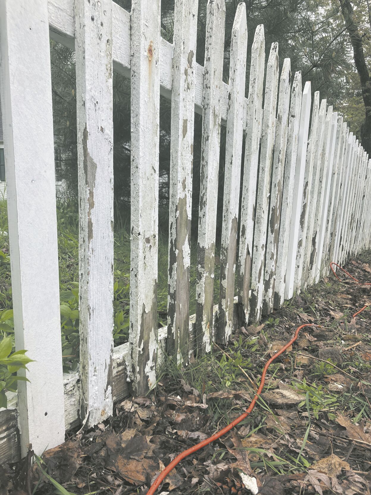 An old fence