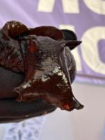 Rare alien-like creature washes up on UK beaches due to warmer climate