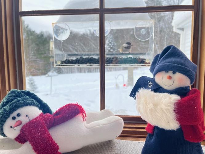 Reader Pics: Feb. 11