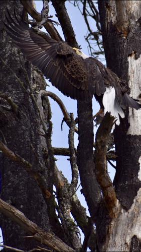 Reader Pics: March 2