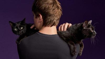 6 assumptions that could keep you from being a great cat dad