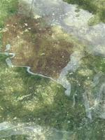 DES: New cyanobacteria blooms identified on Lake Winnipesaukee
