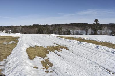 Sled dog trail