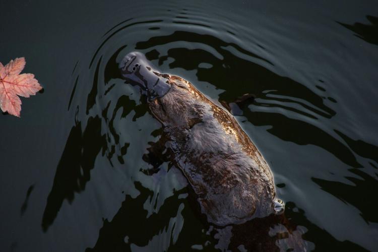 michael-jerrard-Vv019m_ClpY-unsplash