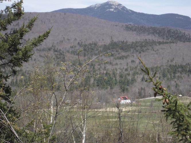 05-22 OUTDOORS IMG_3779