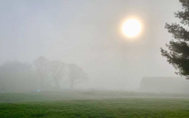 Reader Pics: May 10