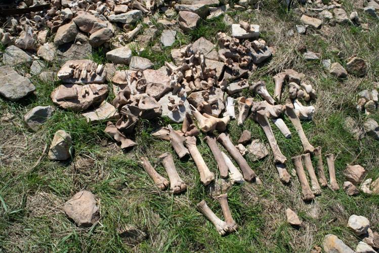 Bison hunters abandoned long-used site over 1,000 years ago due to climate change