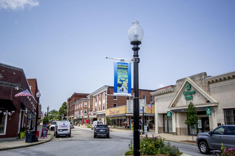 Marian Federspiel banner