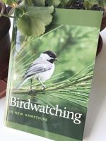 The warblers return to New Hampshire