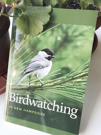 04-18 LS birdwatching.jpg