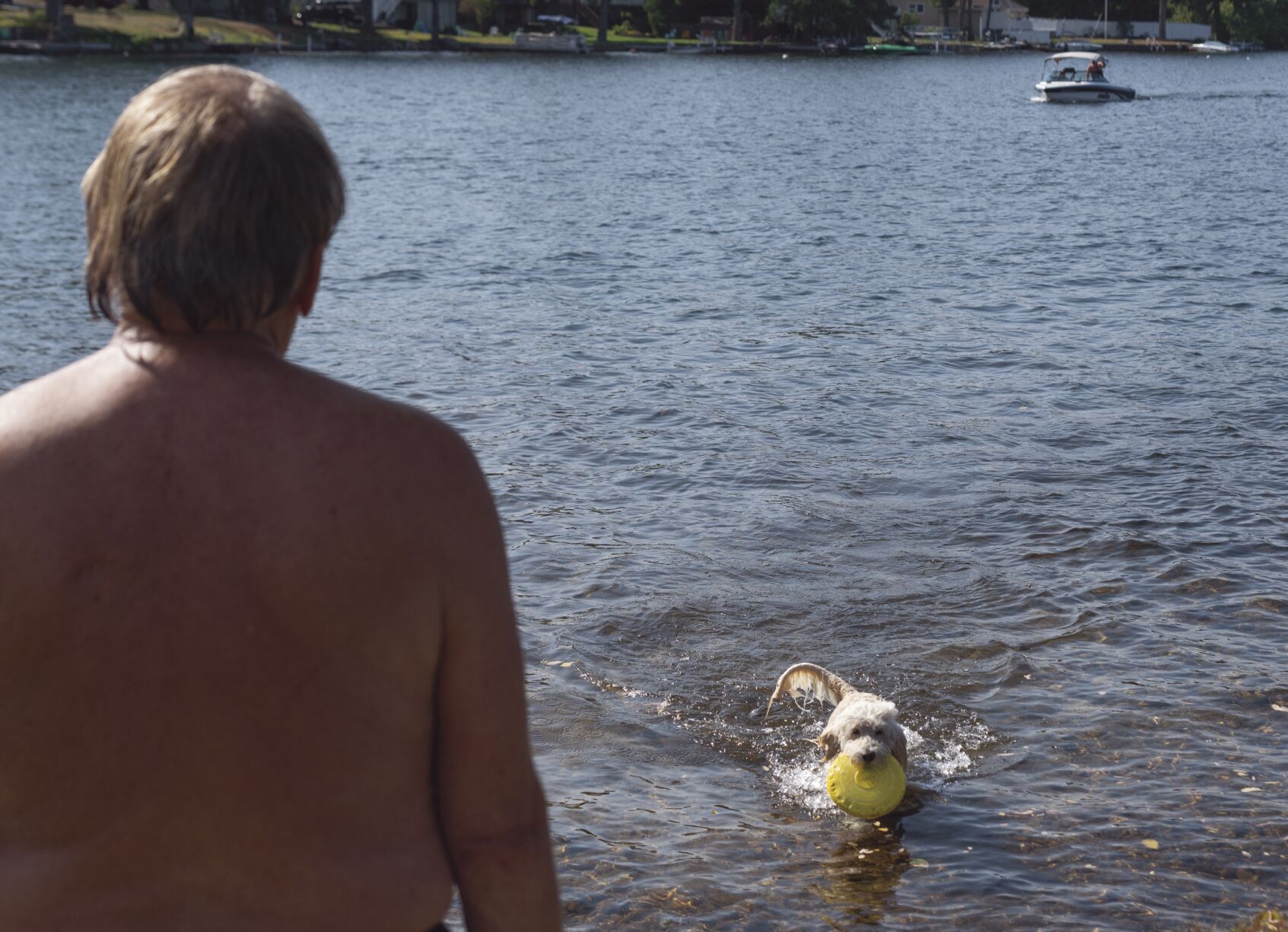 Fetch