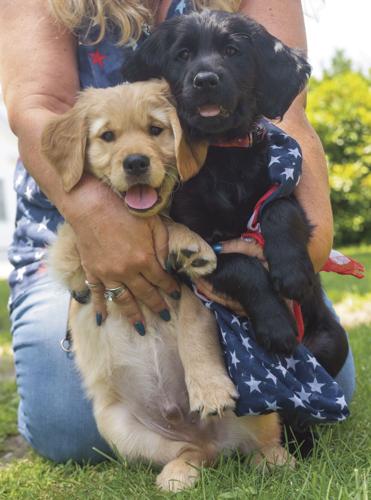 Preston and Trixie