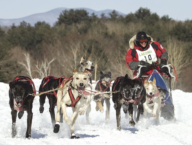 01-05 Sled Dog Derby Day 1 - A.jpg