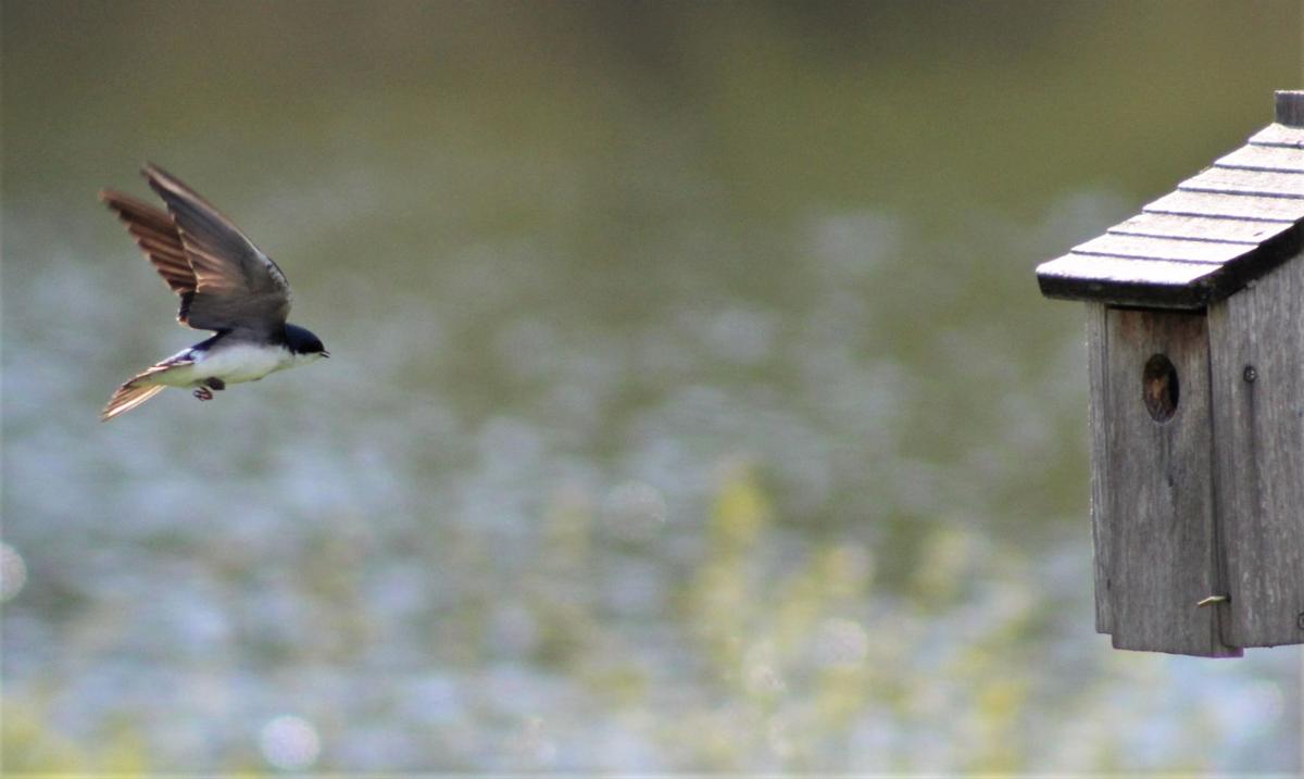 Reader Pics: May 23