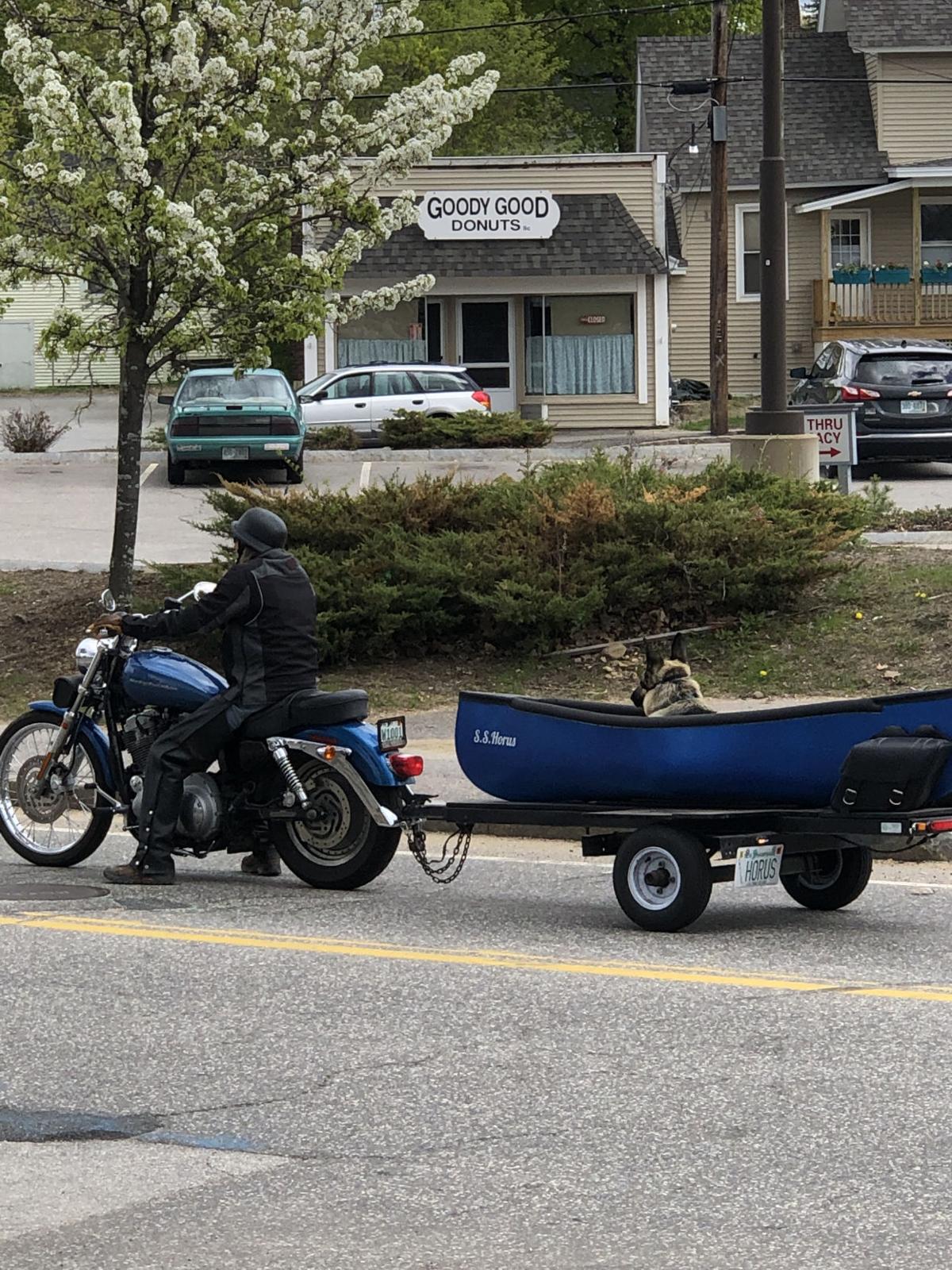 Reader Pics: June 12