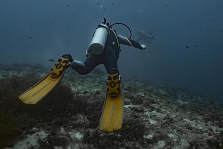 Scuba-diving tourists are destroying coral reefs they want to conserve