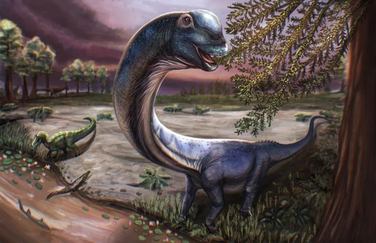 Newly identified giant long-necked dinosaur weighed same as nine adult elephants