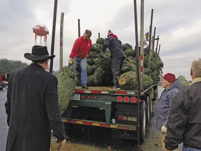 Truckload of trees
