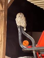 Reader Pics: March 11