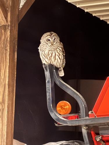 Reader Pics: March 11